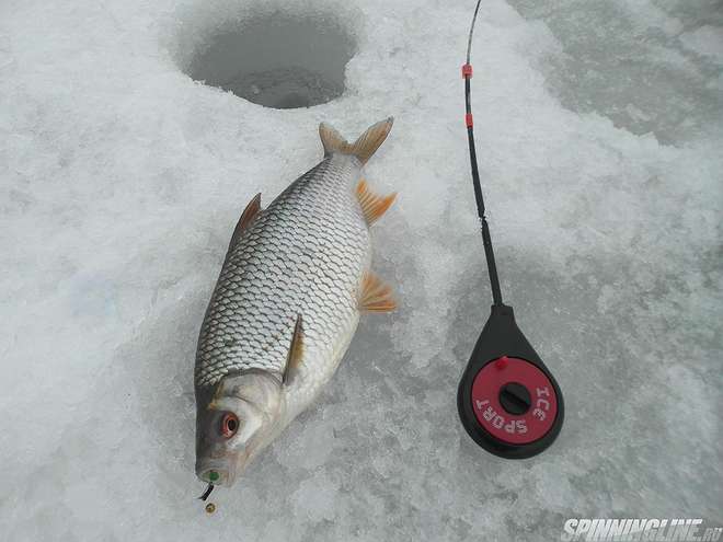 Изображение 1 : Вот и я закрыл сезон рыбалки со льда.
